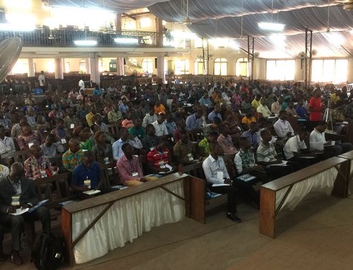 Mobilisation 2020 Togo Janvier 2019